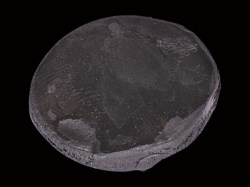 Sportcarp ólompaszta